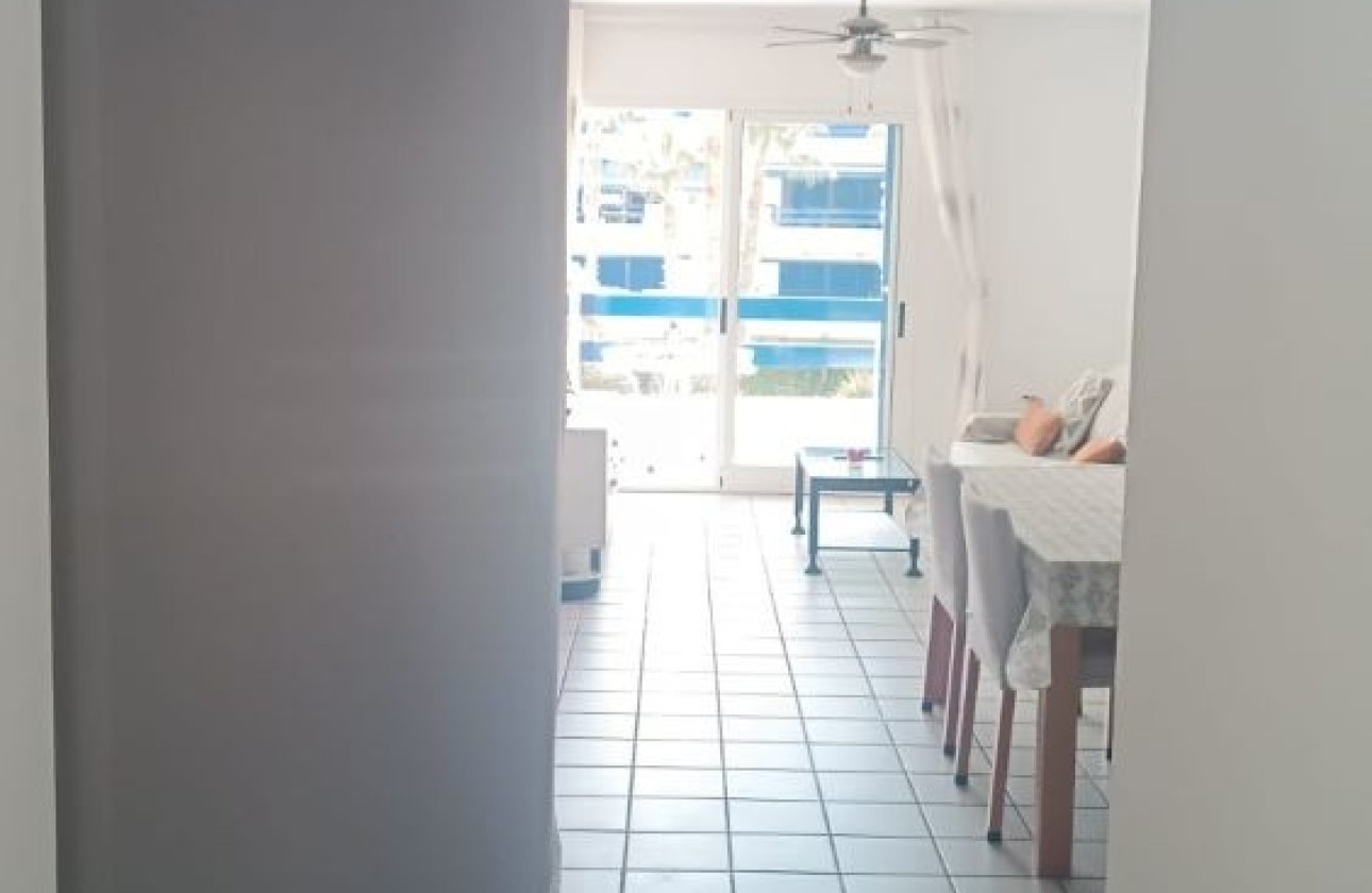 Winter rental - Apartment / flat -
Orihuela Costa - Playa Flamenca