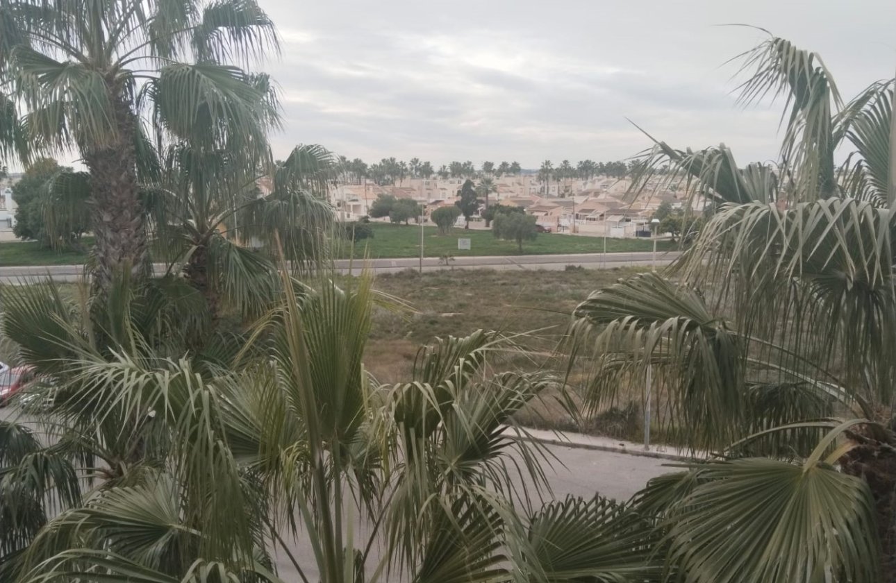 Winter rental - Apartment / flat -
Orihuela Costa - Playa Flamenca