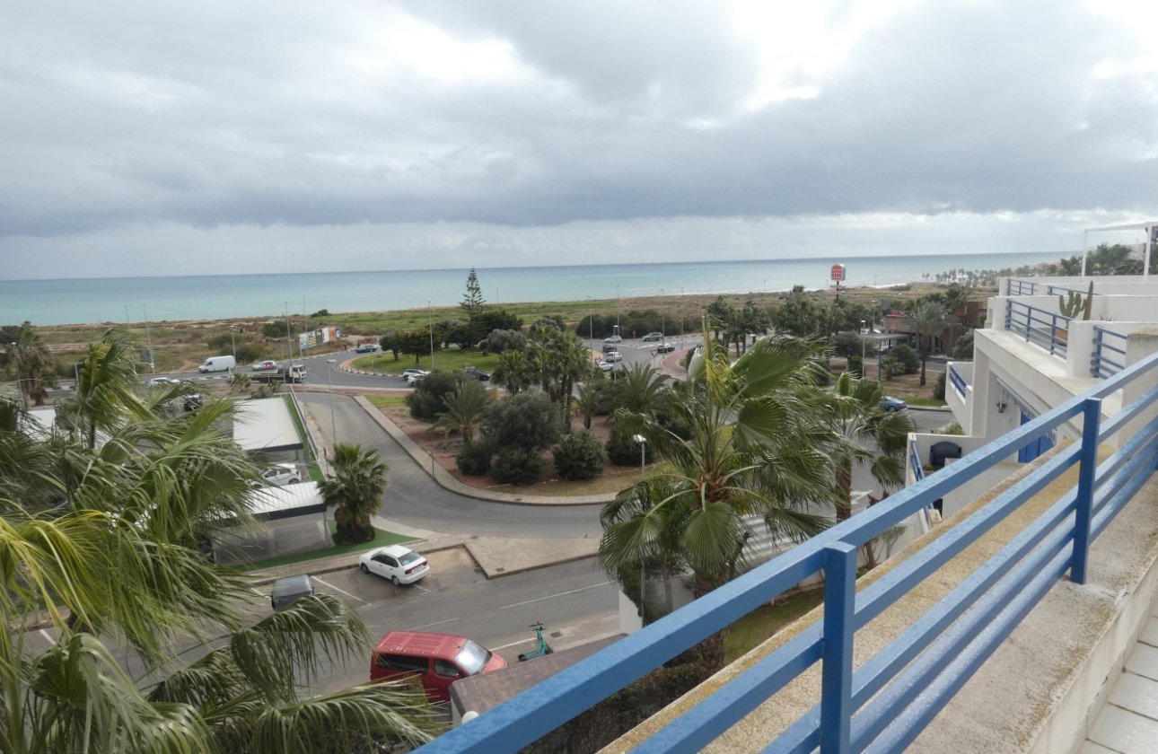 Winter rental - Apartment / flat -
Orihuela Costa - Playa Flamenca