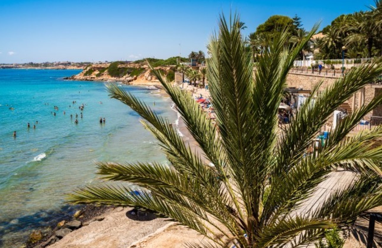 Winter rental - Apartment / flat -
Orihuela Costa - Punta Prima