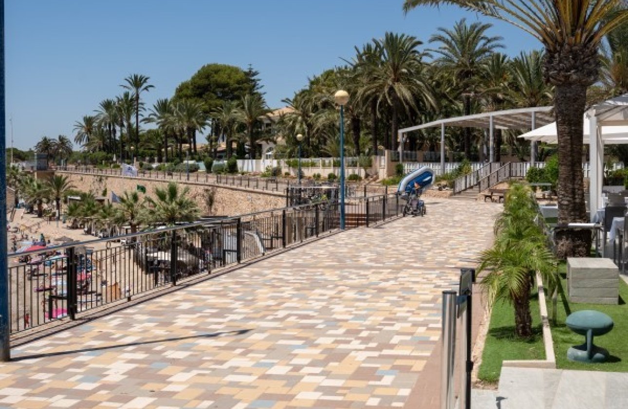 Winter rental - Apartment / flat -
Orihuela Costa - Punta Prima