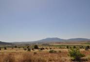 Resale - land -
Pinoso - Pinoso Centro