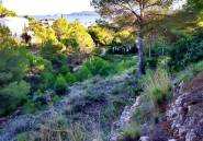 Használt ingatlanok - land -
Jávea - Xàbia - Jávea - Xàbia Centro