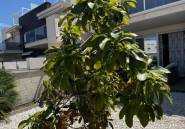 Resale - Apartment / flat -
Torrevieja - Torrevieja Centro