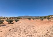 Resale - land -
Monóvar - Monòver - Monóvar - Monòver Centro