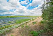 Resale - country house -
San Isidro - San Isidro Centro