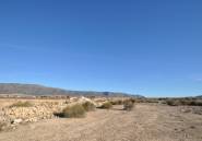 Resale - land -
Pinoso - Pinoso Centro