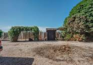 Reventa - Villa -
Orihuela - San Bartolomé