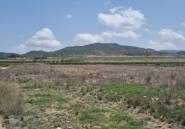 Resale - land -
Pinoso - Pinoso Centro