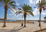 Használt ingatlanok - Apartman / lakás -
Torrevieja - Torrevieja Centro