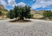 Resale - Villa -
Relleu - Relleu Centro