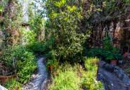 Resale - Villa -
Calpe - Calpe Centro