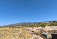 Használt ingatlanok - land -
Monóvar - Monòver - Monóvar - Monòver Centro