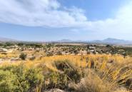 Használt ingatlanok - land -
Sax - Sax Centro