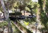 Winter rental - Bungalow -
Los Balcones - Lago Jardin