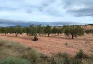 Resale - land -
Monóvar - Monòver - Monóvar - Monòver Centro