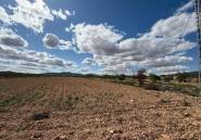 Resale - land -
Pinoso - Pinoso Centro