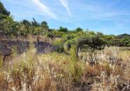 Resale - land -
Callosa d'en Sarria - Callosa d'en Sarria Centro