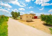 Resale - country house -
San Isidro - San Isidro Centro