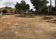 Resale - land -
Pilar de la Horadada - Pinar de Campoverde