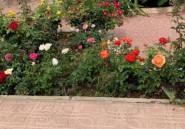 Resale - Villa -
Rojales - Ciudad Quesada