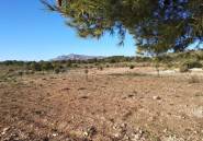 Reventa - land -
Relleu - Relleu Centro