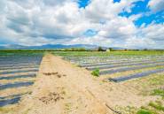 Resale - country house -
San Isidro - San Isidro Centro