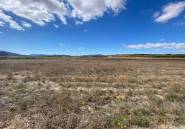 Használt ingatlanok - land -
Pinoso - Pinoso Centro