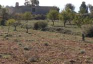 Reventa - land -
Relleu - Relleu Centro