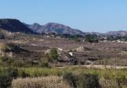 Reventa - country house -
Orihuela - Orihuela Centro