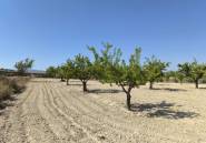 Resale - land -
Monóvar - Monòver - Monóvar - Monòver Centro