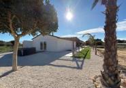 Reventa - land -
Algorfa - Algorfa Centro