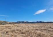 Használt ingatlanok - land -
Pinoso - Pinoso Centro