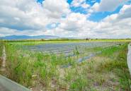 Resale - country house -
San Isidro - San Isidro Centro