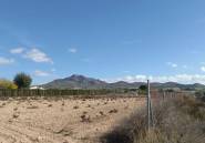 Használt ingatlanok - land -
Salinas - Salinas Centro