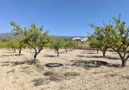 Resale - land -
Monóvar - Monòver - Monóvar - Monòver Centro