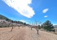 Resale - land -
Pinoso - Pinoso Centro