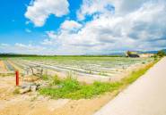 Resale - country house -
San Isidro - San Isidro Centro