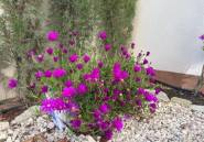 Reventa - Villa -
Alicante - Alicante Centro