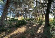 Resale - land -
Calpe - Calpe Centro