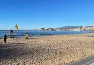 Reventa - Apartamento / piso -
Benidorm - Benidorm Centro