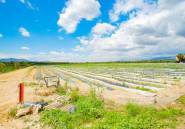 Resale - country house -
San Isidro - San Isidro Centro