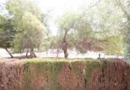 Használt ingatlanok - Bungaló -
Orihuela Costa - Punta Prima