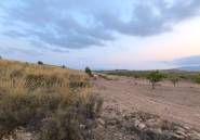 Reventa - land -
Pinoso - Pinoso Centro