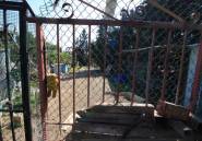 Reventa - Villa -
Orihuela - Orihuela Costa