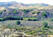 Használt ingatlanok - land -
Orihuela - Torremendo