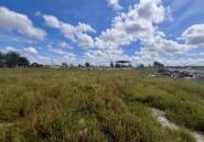 Reventa - land -
Catral - Catral Centro