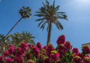 Resale - Apartment / flat -
Jávea - Xàbia - Jávea - Xàbia Centro