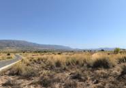 Resale - land -
Pinoso - Lel