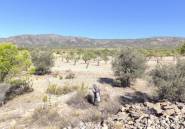 Resale - land -
Monóvar - Monòver - Monóvar - Monòver Centro